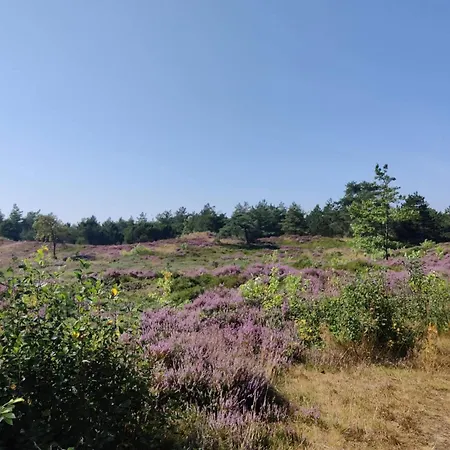 Дом отдыха 5 Star In Romo Kongsmark