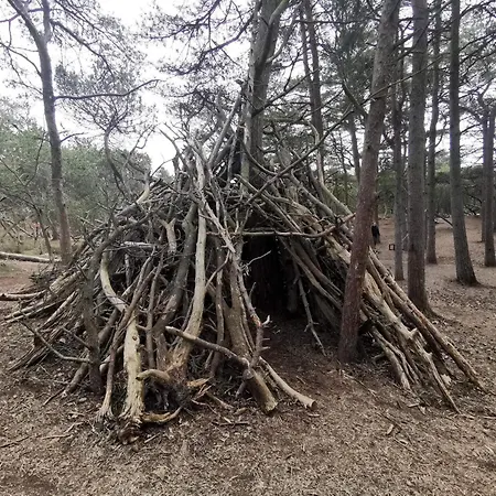 5 Star In Romo Дом отдыха *