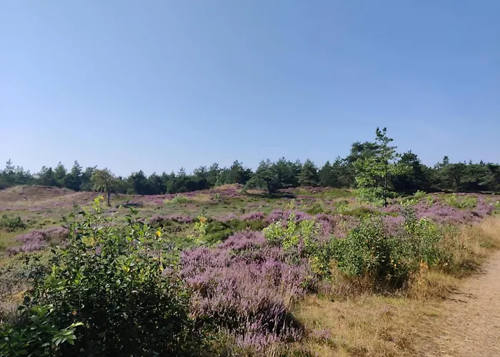 Дом отдыха 5 Star In Romo Kongsmark