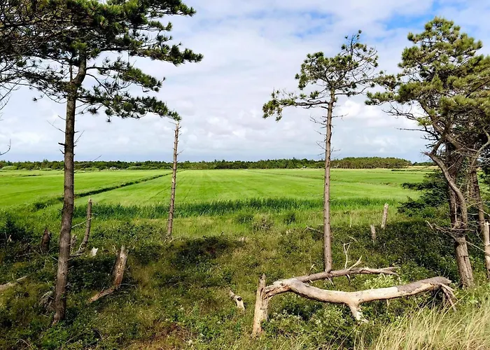 5 Star In Romo Дом отдыха *