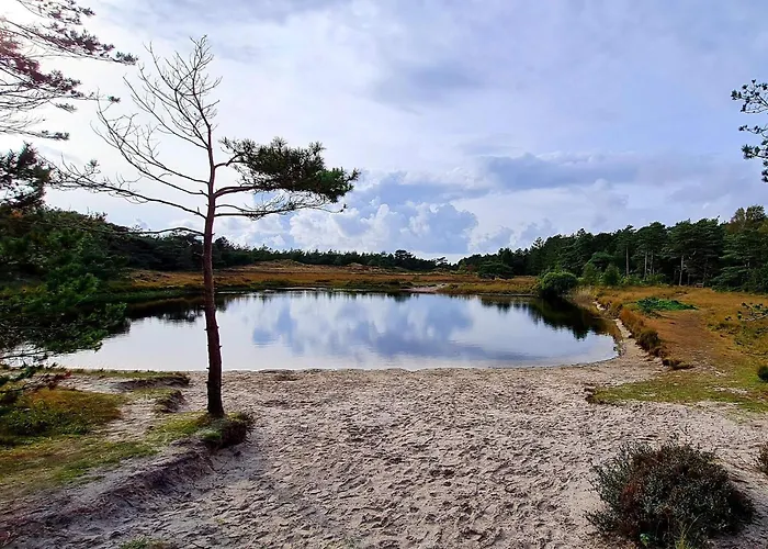 Дом отдыха 5 Star In Romo Kongsmark