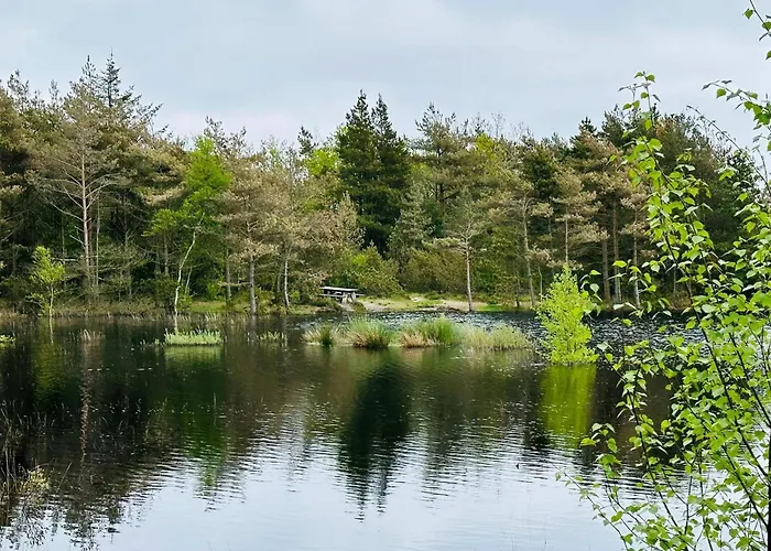 5 Star In Romo Дом отдыха